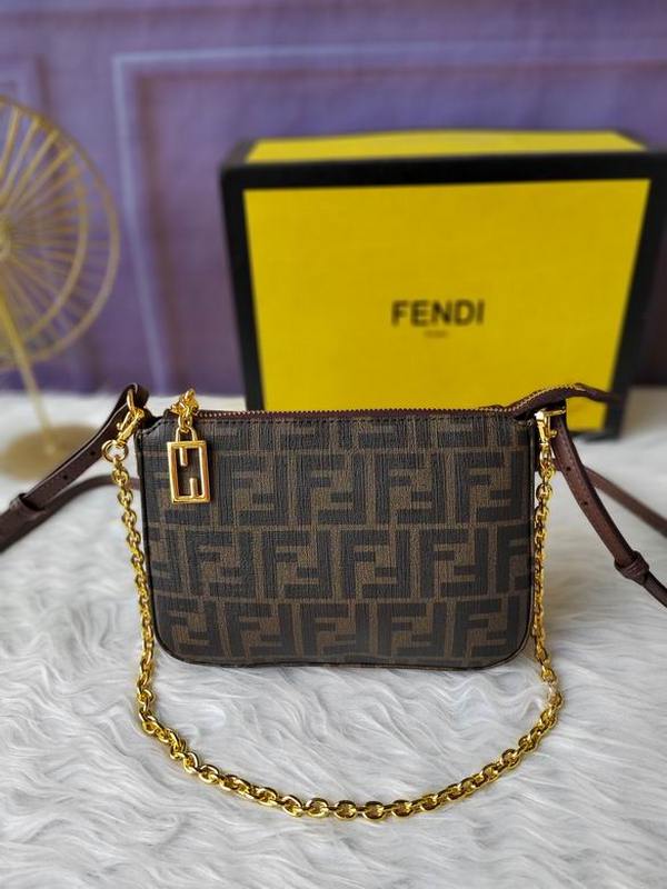 Fendi Handbags 12